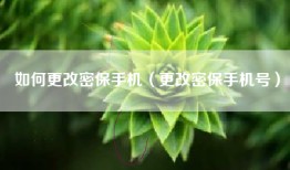 如何更改密保手机（更改密保手机号）