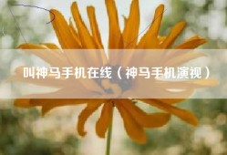 叫神马手机在线（神马手机演视）