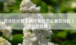 百分比计算手机计算器怎么算百分比「百分比计算」