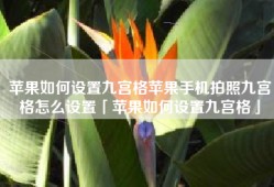 苹果如何设置九宫格苹果手机拍照九宫格怎么设置「苹果如何设置九宫格」