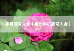 手机靓号大全（杭州手机靓号大全）