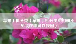 苹果手机分类（苹果手机分类的相册不见了在哪可以找回）