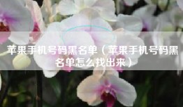 苹果手机号码黑名单（苹果手机号码黑名单怎么找出来）