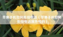 苹果手机如何拒接电话（苹果手机如何拒接电话簿外号码）