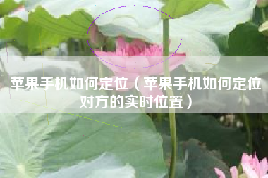 苹果手机如何定位（苹果手机如何定位对方的实时位置）