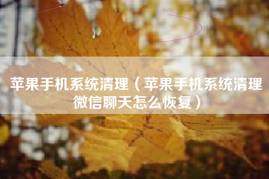 苹果手机系统清理（苹果手机系统清理微信聊天怎么恢复）