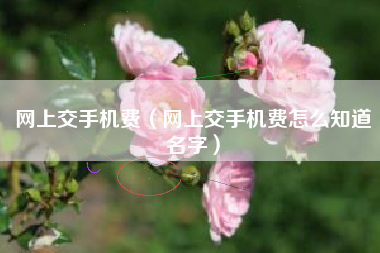 网上交手机费（网上交手机费怎么知道名字）