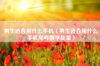 男生适合用什么手机（男生适合用什么手机尾号数字能量）