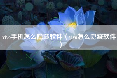 vivo手机怎么隐藏软件（vivo怎么隐藏软件）