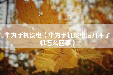 华为手机没电（华为手机没电后开不了机怎么回事）