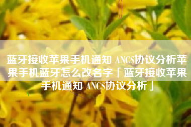 蓝牙接收苹果手机通知 ANCS协议分析苹果手机蓝牙怎么改名字「蓝牙接收苹果手机通知 ANCS协议分析」